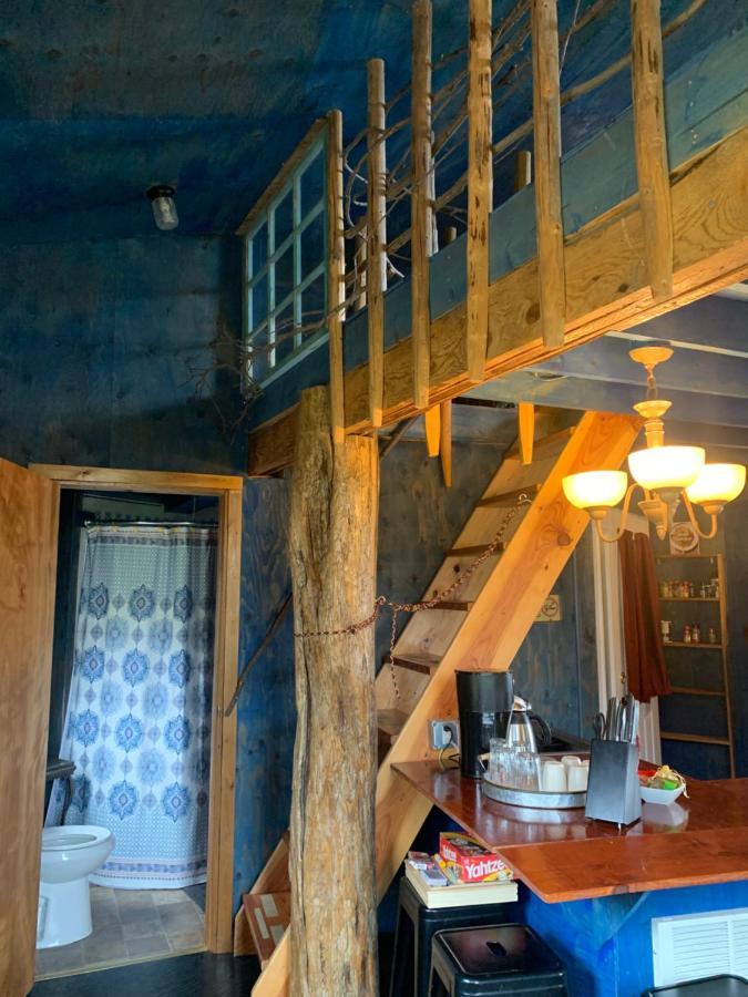 Cottonwood Cabins Fritz Creek Екстериор снимка