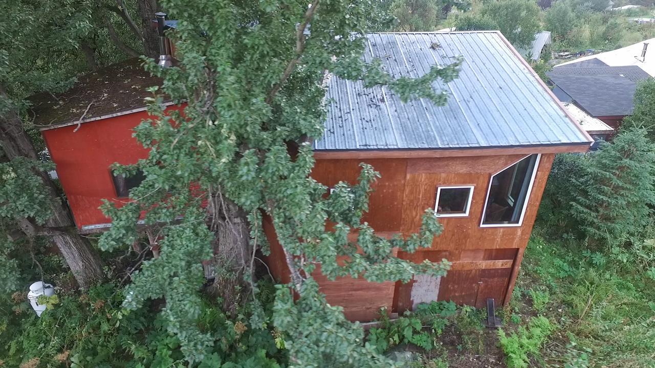 Cottonwood Cabins Fritz Creek Екстериор снимка