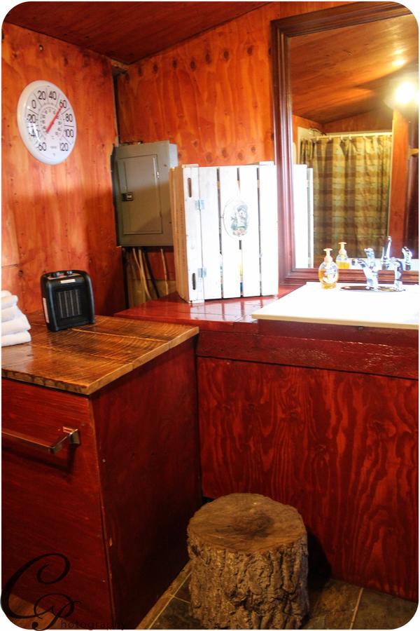 Cottonwood Cabins Fritz Creek Екстериор снимка