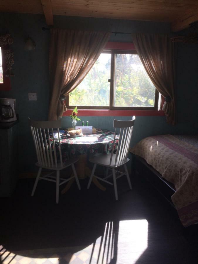 Cottonwood Cabins Fritz Creek Екстериор снимка